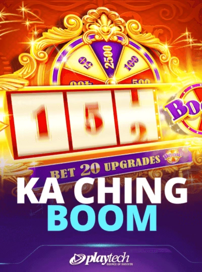 Cricket betting game cover